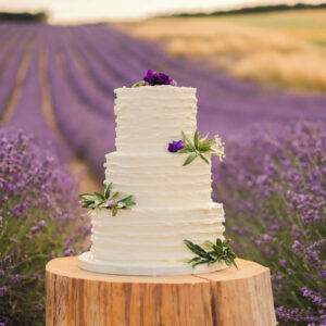 A white wedding cake on a tree stump, in front of a field of lavendar